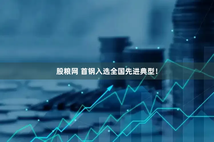 股粮网 首钢入选全国先进典型！