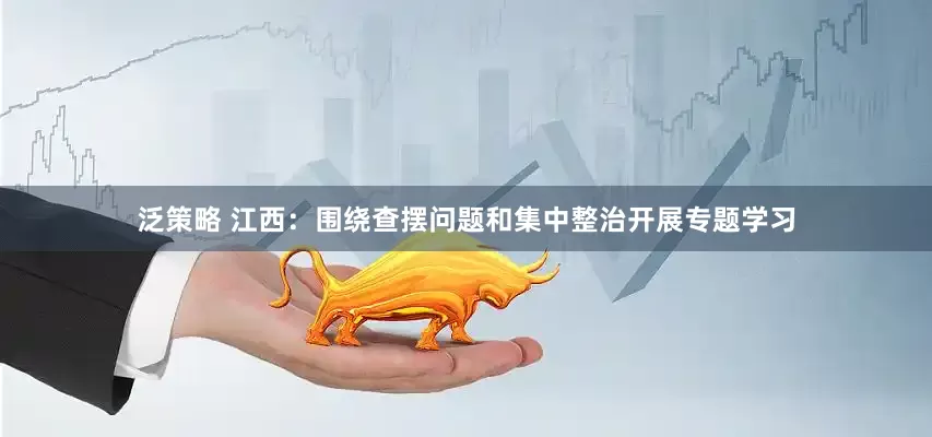 泛策略 江西：围绕查摆问题和集中整治开展专题学习