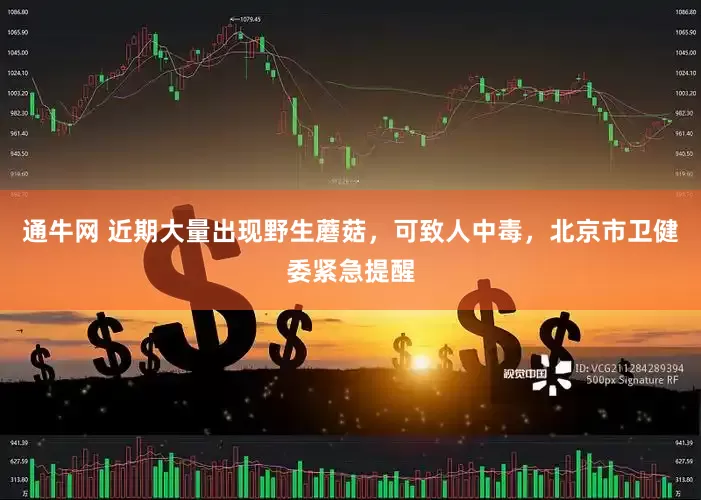 通牛网 近期大量出现野生蘑菇，可致人中毒，北京市卫健委紧急提醒