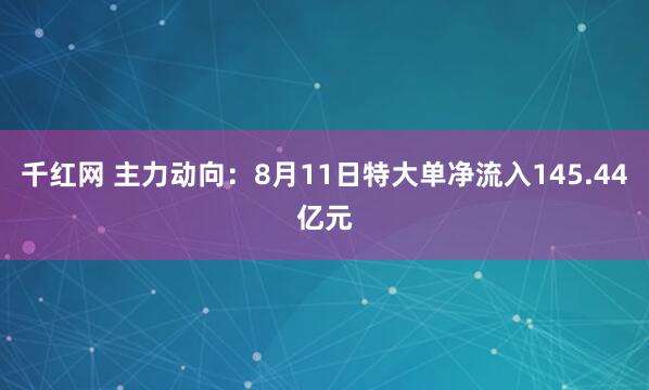 千红网 主力动向：8月11日特大单净流入145.44亿元