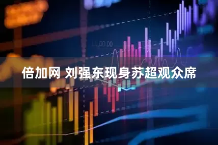 倍加网 刘强东现身苏超观众席