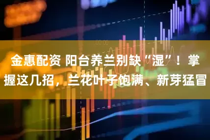 金惠配资 阳台养兰别缺“湿”！掌握这几招，兰花叶子饱满、新芽猛冒