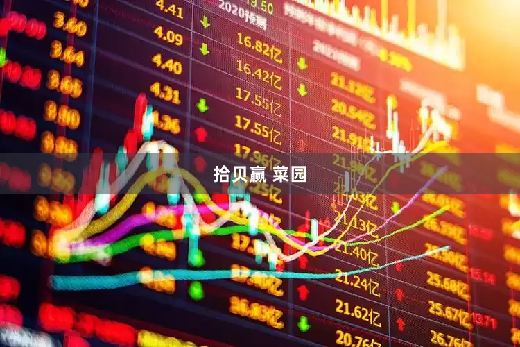 拾贝赢 菜园
