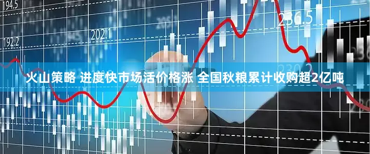 火山策略 进度快市场活价格涨 全国秋粮累计收购超2亿吨