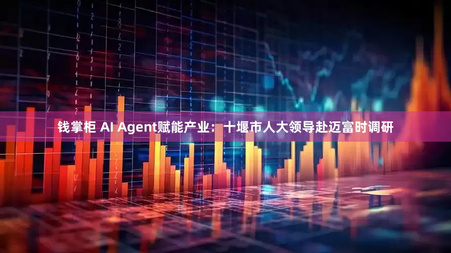 钱掌柜 AI Agent赋能产业：十堰市人大领导赴迈富时调研