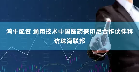 鸿牛配资 通用技术中国医药携印尼合作伙伴拜访珠海联邦